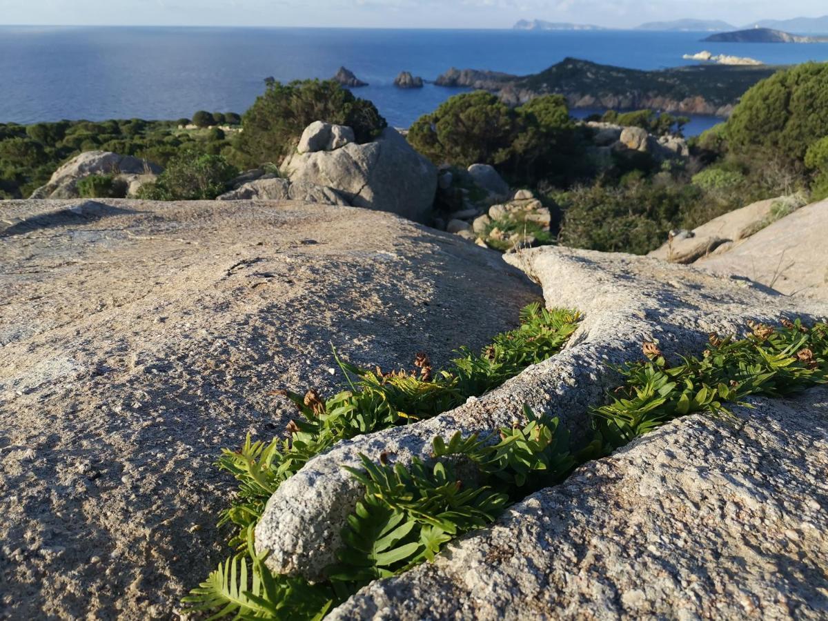 Casa Vacanze Richi&Michi Chia Villa Eksteriør bilde